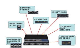 万兆网吧交换机产品推荐 锐捷睿易 玩 真 的