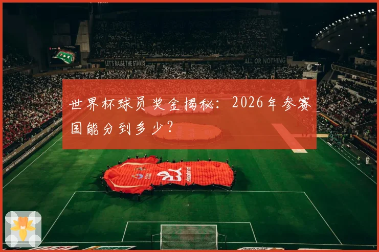世界杯球员奖金揭秘：2026年参赛国能分到多少？