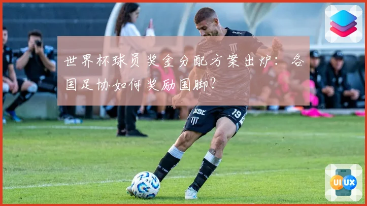 世界杯球员奖金分配方案出炉：各国足协如何奖励国脚？