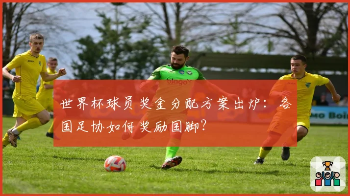 世界杯球员奖金分配方案出炉：各国足协如何奖励国脚？