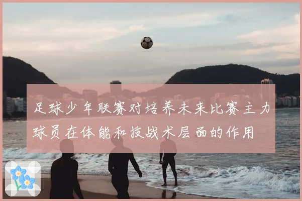 足球少年联赛对培养未来比赛主力球员在体能和技战术层面的作用