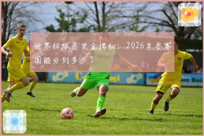 世界杯球员奖金揭秘：2026年参赛国能分到多少？