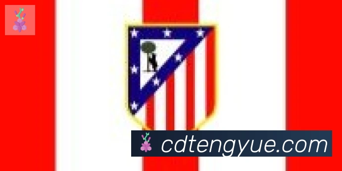 云开手机版登录入口合作伙伴