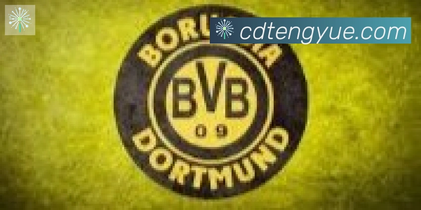 云开手机版登录入口合作伙伴