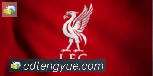 云开手机版登录入口合作伙伴